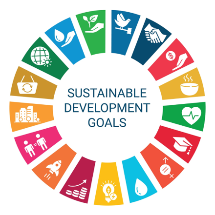 Sustainability projects around the world